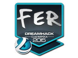 Item Sticker | fer | Cluj-Napoca 2015