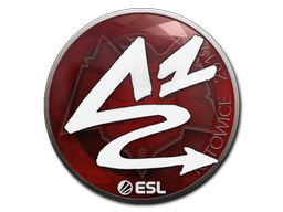 Item Sticker | ANGE1 | Katowice 2019