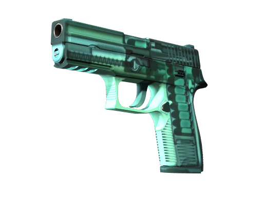 Item P250 | X-Ray