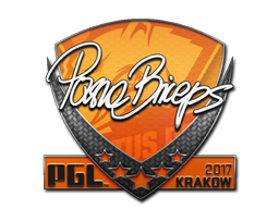 Item Sticker | pashaBiceps | Krakow 2017