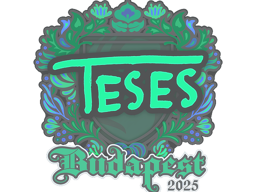 Item Sticker | TeSeS | Budapest 2025