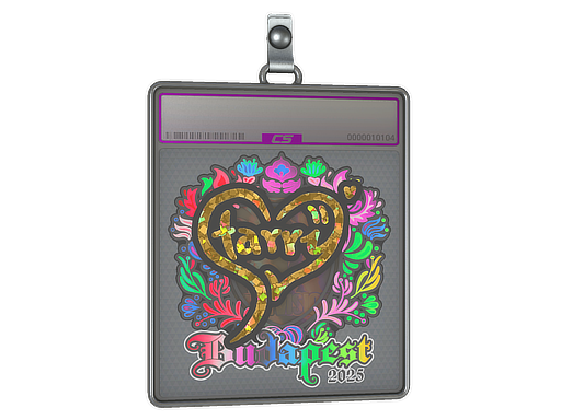 Item Sticker Slab | Starry (Holo) | Budapest 2025