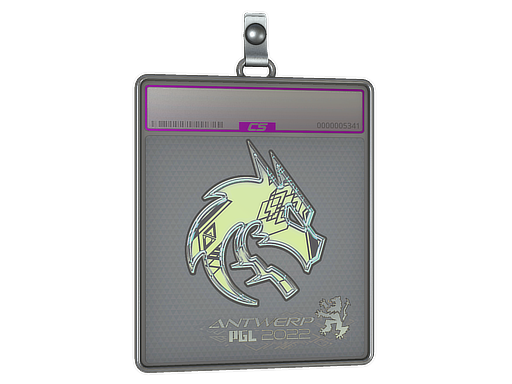 Item Sticker Slab | Team Spirit (Holo) | Antwerp 2022