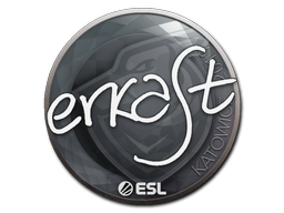 Item Sticker | erkaSt | Katowice 2019