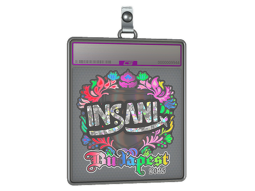 Item Sticker Slab | insani (Holo) | Budapest 2025
