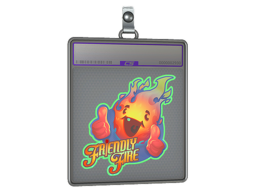 Item Sticker Slab | Friendly Fire (Holo)