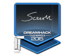 Item Sticker | ScreaM | Cluj-Napoca 2015