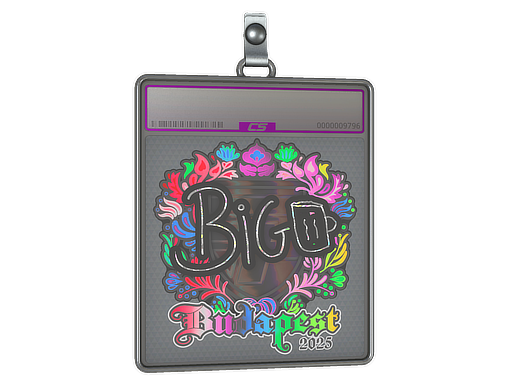 Item Sticker Slab | biguzera (Holo) | Budapest 2025
