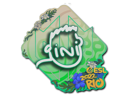 Item Sticker | VINI | Rio 2022
