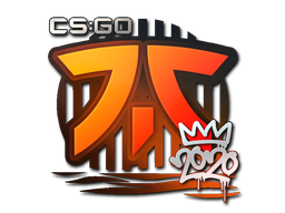 Item Sticker | Fnatic | 2020 RMR