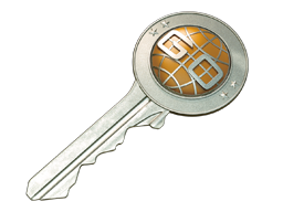 Item CS:GO Case Key