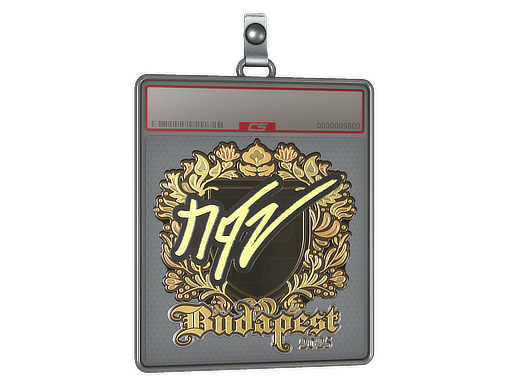 Item Sticker Slab | NQZ (Gold) | Budapest 2025