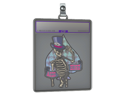 Item Sticker Slab | Aces High (Holo)