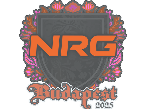 Item Sticker | NRG | Budapest 2025