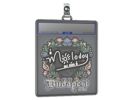 Item Sticker Slab | molodoy | Budapest 2025