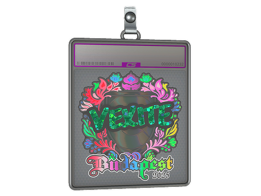 Item Sticker Slab | vexite (Holo) | Budapest 2025