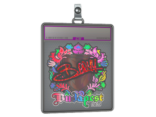 Item Sticker Slab | bodyy (Holo) | Budapest 2025