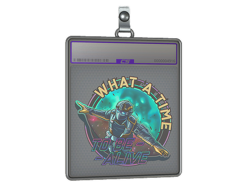 Item Sticker Slab | Wingsuit (Holo)