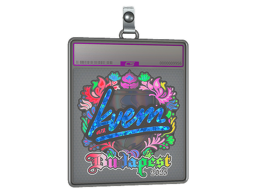 Item Sticker Slab | Kvem (Holo) | Budapest 2025