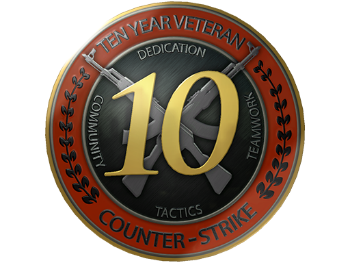 Item 10 Year Veteran Coin