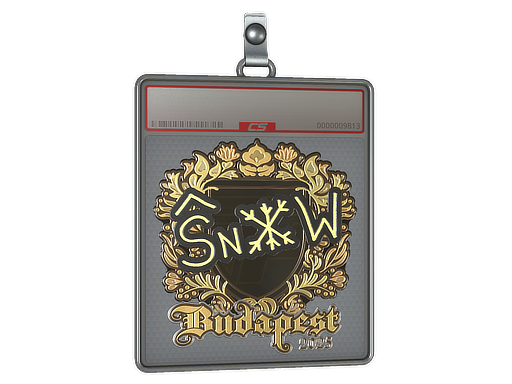 Item Sticker Slab | snow (Gold) | Budapest 2025