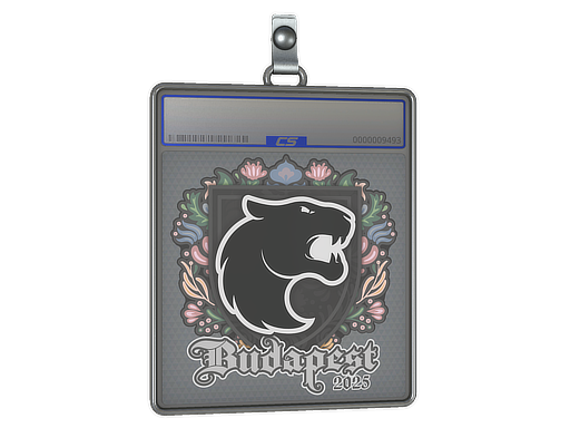 Item Sticker Slab | FURIA | Budapest 2025