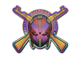 Item Sticker | Master Guardian Elite (Holo)