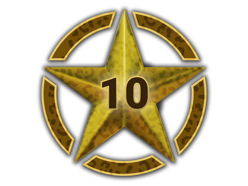 Item 10 Stars for Operation Broken Fang