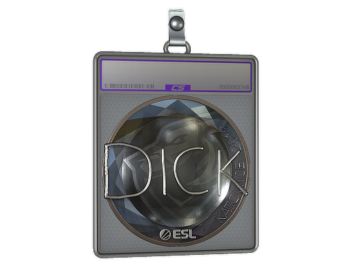Item Sticker Slab | DickStacy (Foil) | Katowice 2019