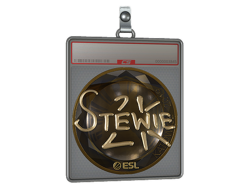 Item Sticker Slab | Stewie2K (Gold) | Katowice 2019