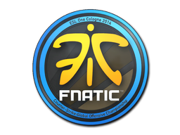 Item Sticker | Fnatic | Cologne 2014