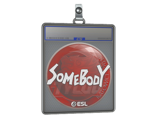 Item Sticker Slab | somebody | Katowice 2019