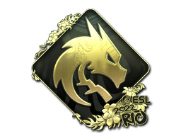 Cosmetic Sticker | Team Spirit (Gold) | Rio 2022 of Craft