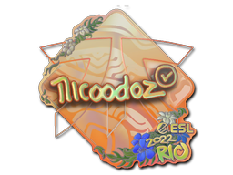 Item Sticker | nicoodoz (Holo) | Rio 2022