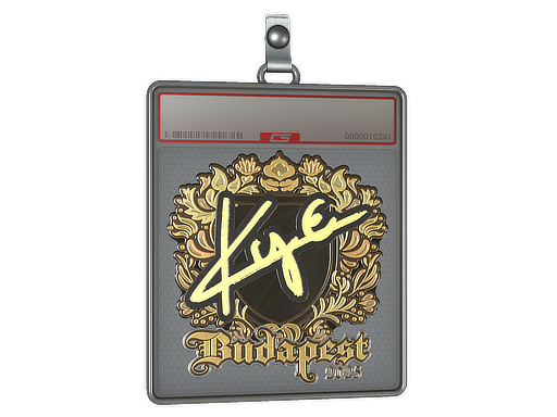 Item Sticker Slab | kye (Gold) | Budapest 2025