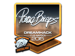 Item Sticker | pashaBiceps (Foil) | Cluj-Napoca 2015