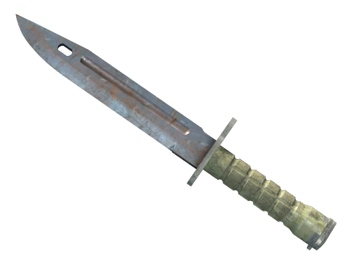 Item Bayonet | Rust Coat