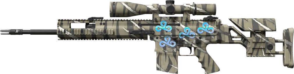 Item SCAR-20 | Torn