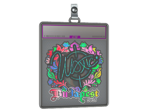 Item Sticker Slab | woxic (Holo) | Budapest 2025