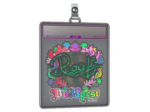 Item Sticker Slab | regali (Holo) | Budapest 2025