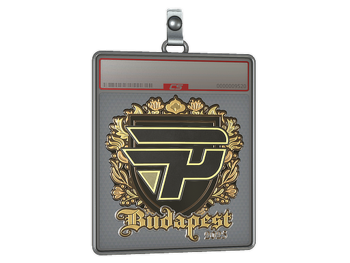 Item Sticker Slab | paiN Gaming (Gold) | Budapest 2025
