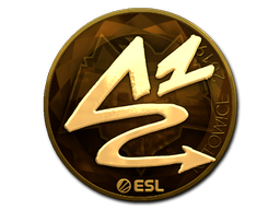 Item Sticker | ANGE1 (Gold) | Katowice 2019