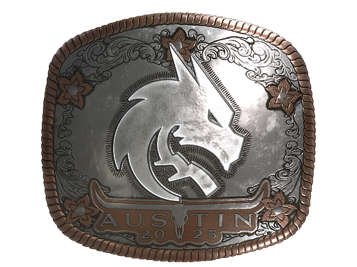 Item Sticker | Team Spirit (Foil) | Austin 2025