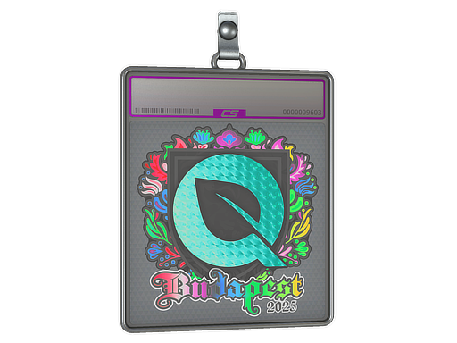 Item Sticker Slab | FlyQuest (Holo) | Budapest 2025