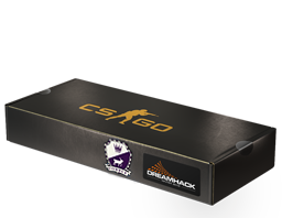 Item DreamHack 2014 Cobblestone Souvenir Package