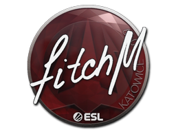 Item Sticker | fitch | Katowice 2019