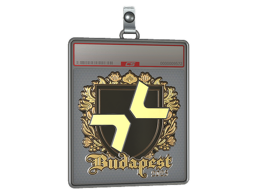 Item Sticker Slab | PARIVISION (Gold) | Budapest 2025