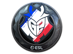 Item Sticker | G2 Esports (Foil) | Katowice 2019