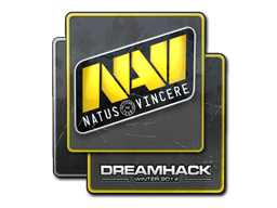 Item Sticker | Natus Vincere | DreamHack 2014