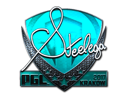 Item Sticker | steel (Foil) | Krakow 2017